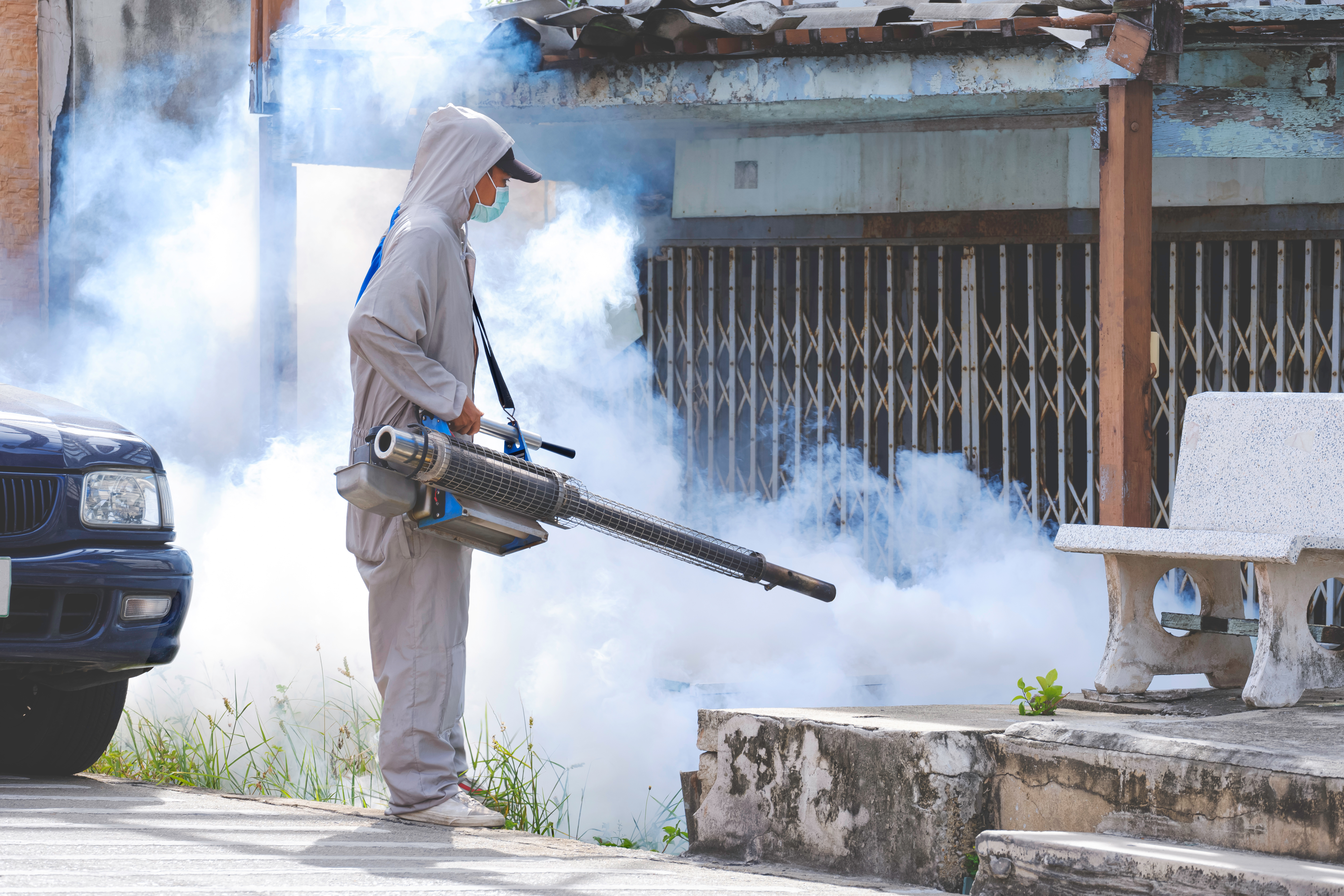 Pest control services in Canada by Wise Pest Solutions