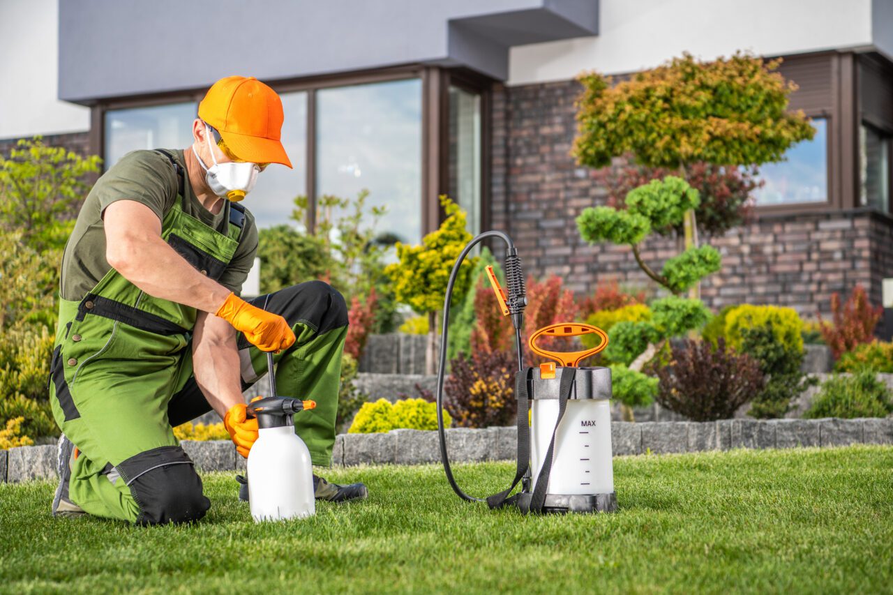 Pest control services in Canada by Wise Pest Solutions