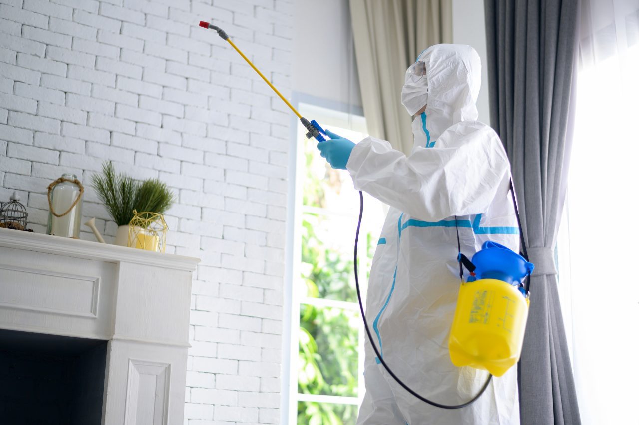 Pest control services in Canada by Wise Pest Solutions