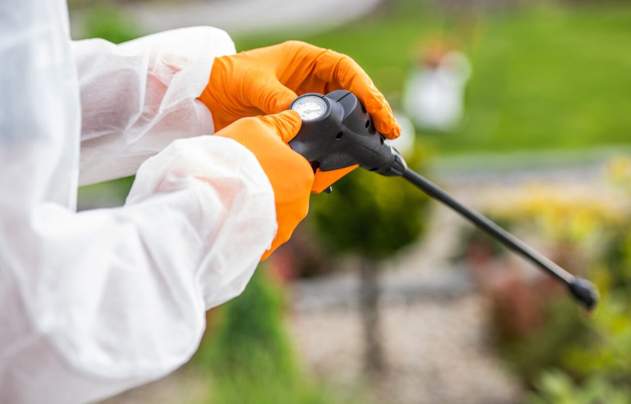 Pest control services in Canada by Wise Pest Solutions