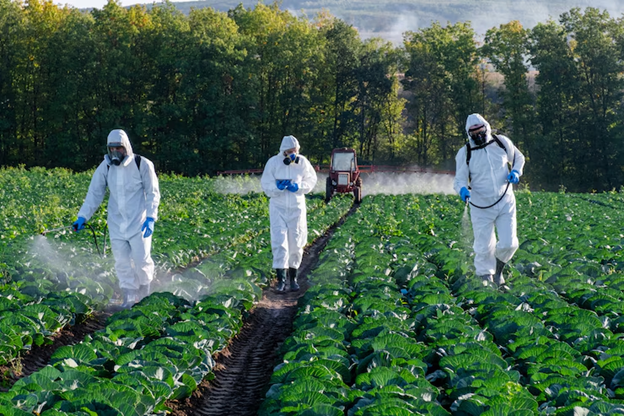 Pest solution services