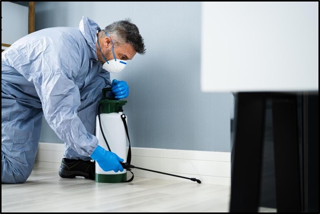 Professional Ant Control 