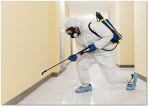 pest solution services