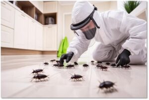 pest solutions
