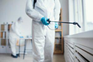 bed bug control 