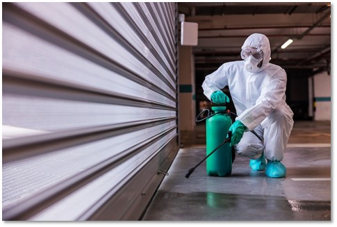 pest solution services
