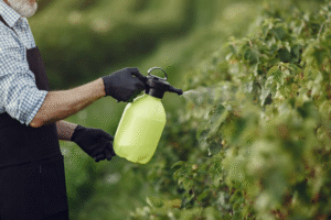 Green Pest Management