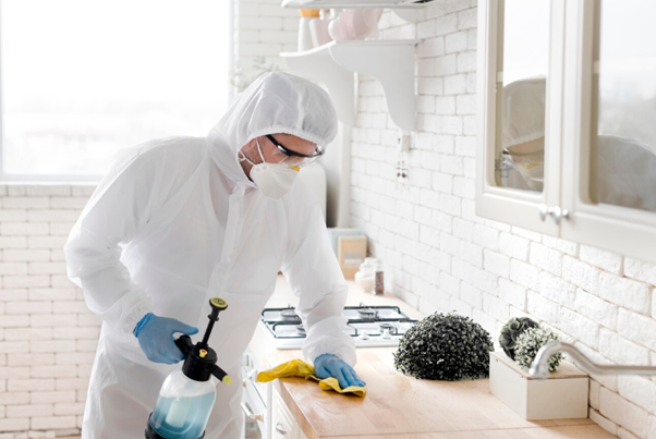 Cleaning After Rodent Infestation