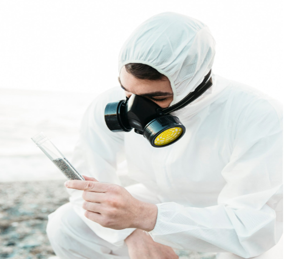 Pest Control Services Near Me