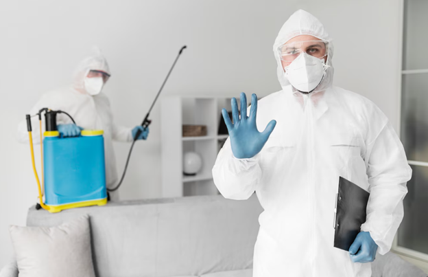 Pest Control Services in Brampton
