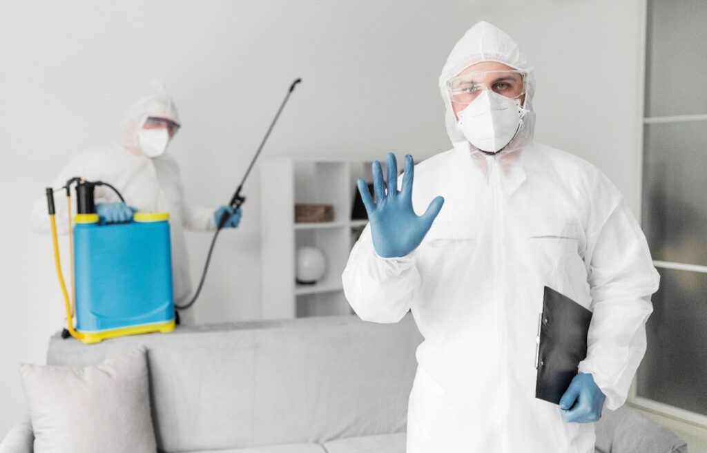 Rodent Control Services