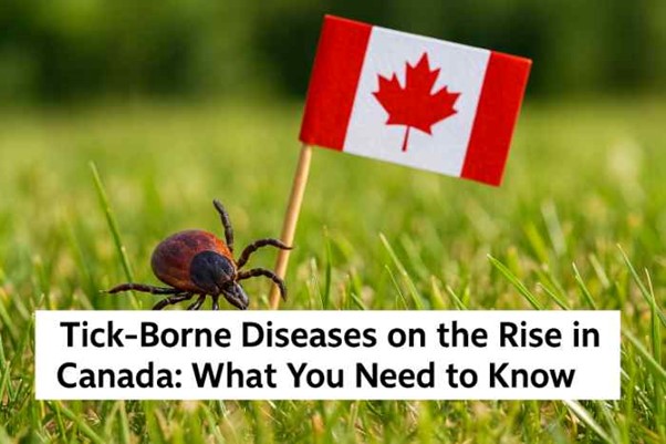 Tick-Borne Diseases