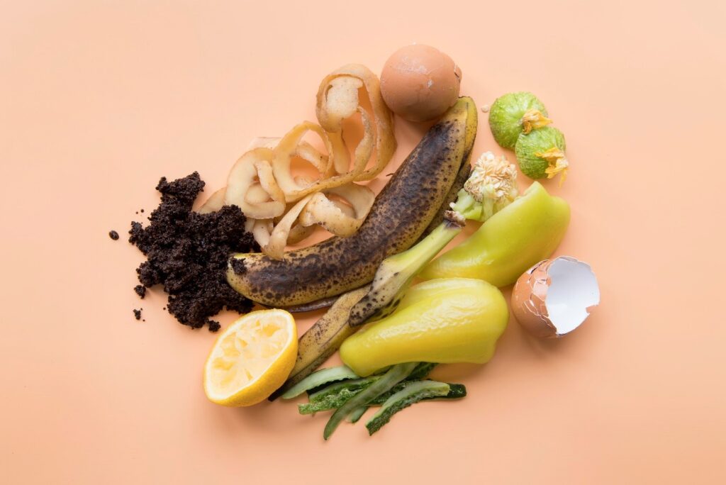 Waste Contamination Food