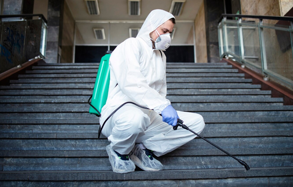 pest control brampton